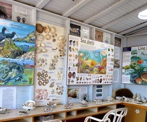 Bewaring meer as net praat